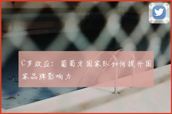 C罗效应:葡萄牙国家队如何提升国家品牌影响力