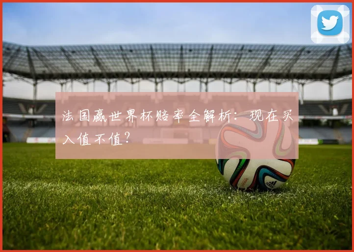 法国赢世界杯赔率全解析:现在买入值不值?