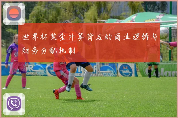 世界杯奖金计算背后的商业逻辑与财务分配机制